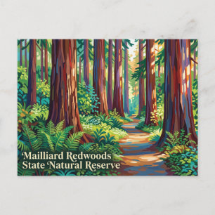 Mailliard Redwoods State Natural Reserve Briefkaart