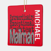 Mailman Extraordinaire CUSTOM Ceramic Ornamed Keramisch Ornament (Links)