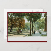 Main Ave., Knoxville TN 1909  Briefkaart (Voorkant / Achterkant)