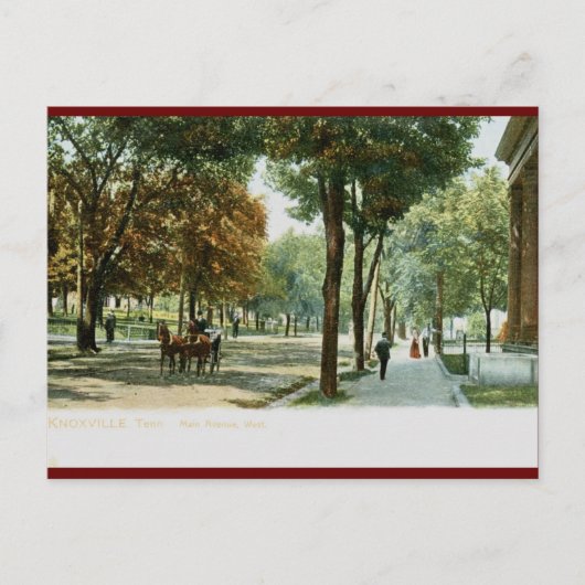 Main Ave., Knoxville TN 1909  Briefkaart (Voorkant)
