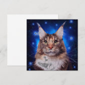 Main Coon Cat Blue Background Stars Kaart (Voorkant / Achterkant)