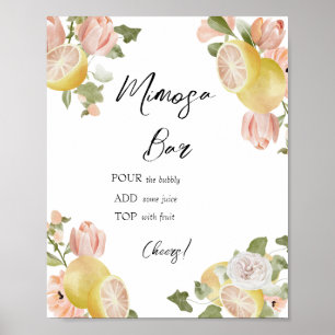 Main Squeeze   Citrus   Roze Bloemige Mimosa Bar Poster