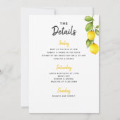 Main Squeeze Lemon Bachelorette Weekend Route Kaart (Achterkant)