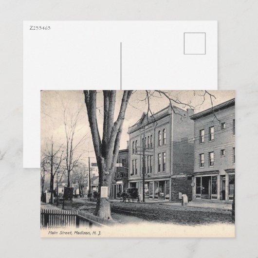 Main St, Madison, New Jersey 1908 Briefkaart (Voorkant / Achterkant)