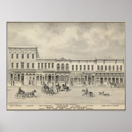 Main St Woodland 2 Poster (Voorkant)