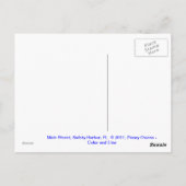 Main Street, Safety Harbour Briefkaart (Achterkant)