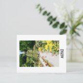 Mainau Postcard Briefkaart (Staand voorkant)