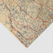 Maine 18 tissuepapier (Detail)