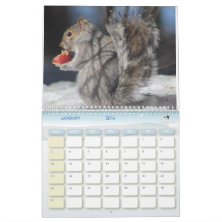 Maine 2016 Photo Calendar Kalender