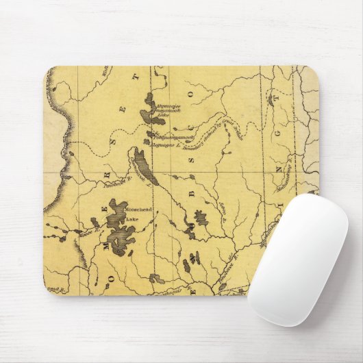 Maine 2 muismat (Met muis)