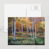 Maine, Acadia National Park, Autumn Briefkaart (Voorkant / Achterkant)