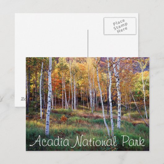 Maine, Acadia National Park, Autumn Briefkaart (Voorkant / Achterkant)