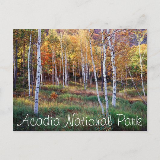 Maine, Acadia National Park, Autumn Briefkaart (Voorkant)