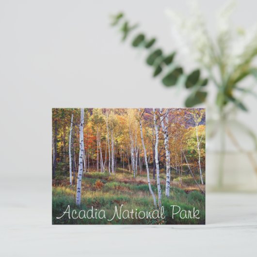 Maine, Acadia National Park, Autumn Briefkaart (Staand voorkant)