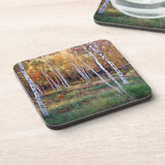 Maine, Acadia National Park, Autumn Drankjes Onderzetter (Linkerzijde)