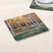 Maine, Acadia National Park, Autumn Kartonnen Onderzetters (Schuin)