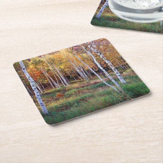 Maine, Acadia National Park, Autumn Kartonnen Onderzetters (Schuin)