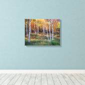 Maine, Acadia National Park, Herfst Canvas Afdruk (Insitu (Houten vloer))