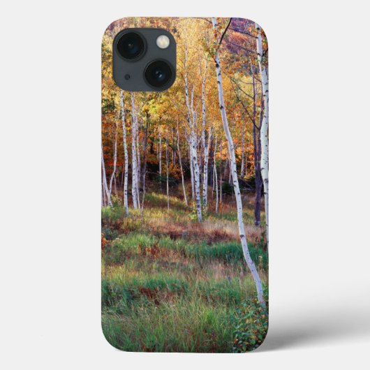 Maine, Acadia National Park, Herfst Case-Mate iPhone Case (Achterkant)