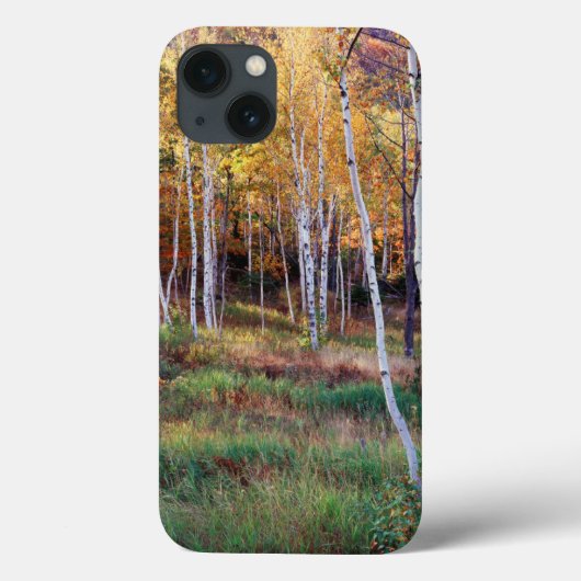 Maine, Acadia National Park, Herfst Case-Mate iPhone Case (Achterkant)