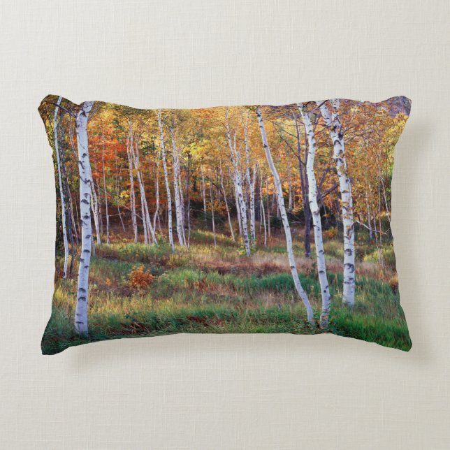 Maine, Acadia National Park, Herfst Decoratief Kussen (Voorkant)