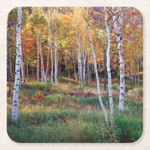 Maine, Acadia National Park, Herfst Kartonnen Onderzetters