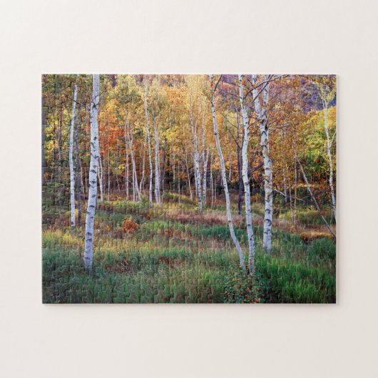Maine, Acadia National Park, Herfst Legpuzzel (Horizontaal)