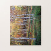 Maine, Acadia National Park, Herfst Legpuzzel (Verticaal)