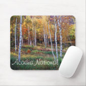 Maine, Acadia National Park, Herfst Muismat (Met muis)