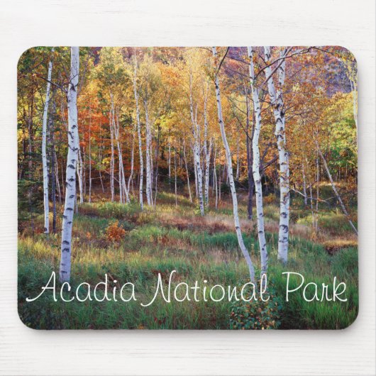 Maine, Acadia National Park, Herfst Muismat (Voorkant)