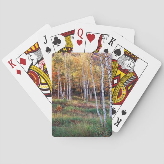 Maine, Acadia National Park, Herfst Pokerkaarten (Achterkant)