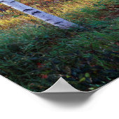 Maine, Acadia National Park, Herfst Poster (Hoek)