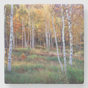 Maine, Acadia National Park, Herfst Stenen Onderzetter