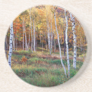 Maine, Acadia National Park, Herfst Zandsteen Onderzetter