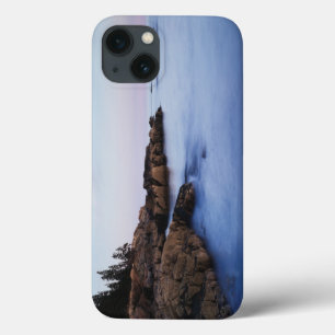 Maine, Acadia National Park, Maan ondergaand Case-Mate iPhone Case