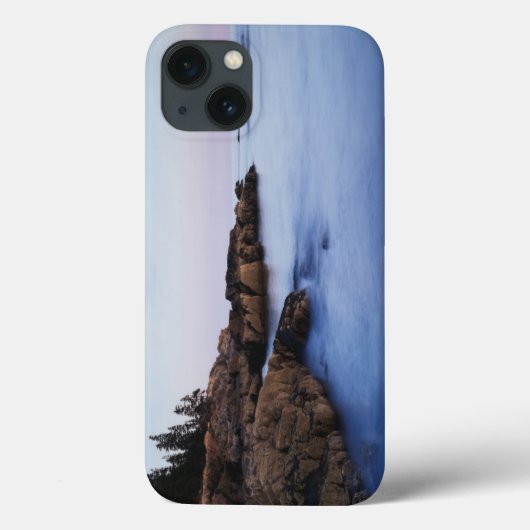 Maine, Acadia National Park, Maan ondergaand Case-Mate iPhone Case (Achterkant)