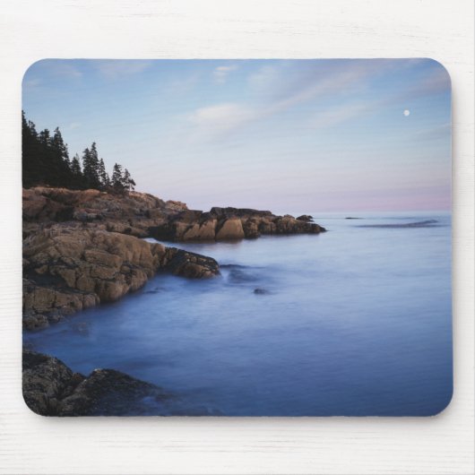 Maine, Acadia National Park, Moonset Muismat (Voorkant)