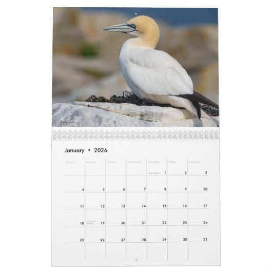 Maine Attracties 2025-2026 Kalender (Jan 2026)