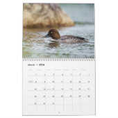 Maine Attractions 2026-2027 Calendar Kalender (Mar 2026)