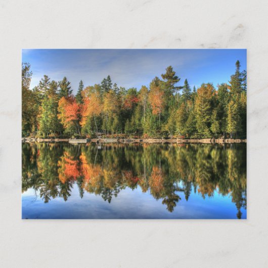 Maine Autumn Herfst Foliage Lake Reflections Briefkaart (Voorkant)