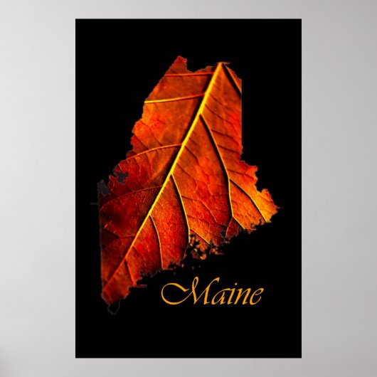 Maine Autumn Oranje Leaf | Maine Herfst Foliage Poster (Voorkant)