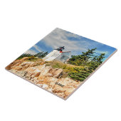 MAINE, BASHAVEN TEGELTJE (Zijkant)