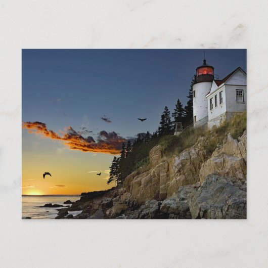 Maine Bass Harbor Lighthouse Foto Briefkaart (Voorkant)