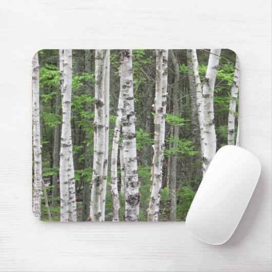 Maine Birch Grove Muismat (Met muis)