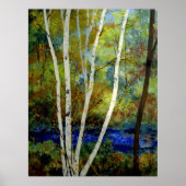 Maine Birch Stream Poster (Voorkant)