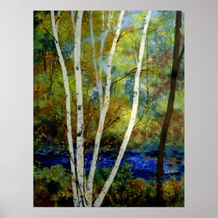 Maine Birch Stream Poster