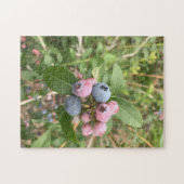 Maine Blueberries Legpuzzel (Horizontaal)