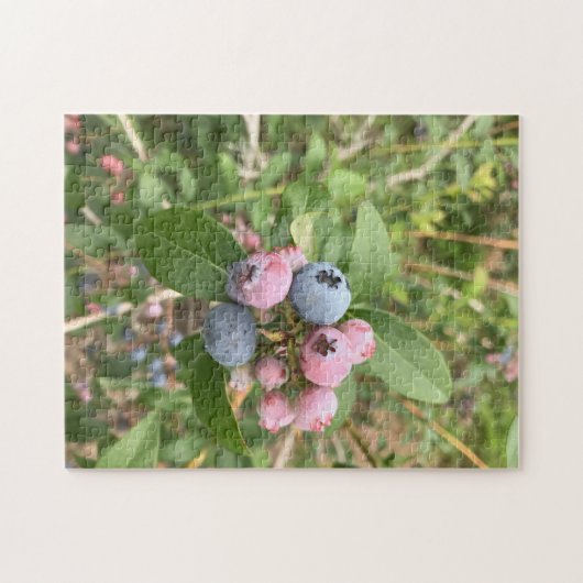 Maine Blueberries Legpuzzel (Horizontaal)
