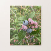 Maine Blueberries Legpuzzel (Verticaal)