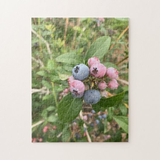 Maine Blueberries Legpuzzel (Verticaal)